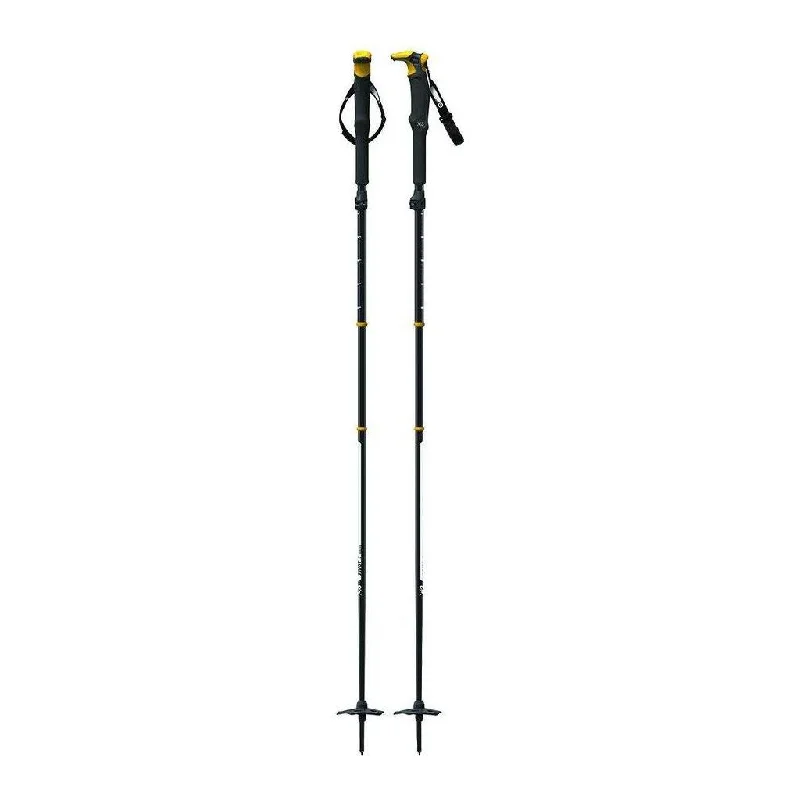 G3 Pivot Touring Pole